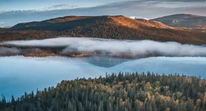 行业洞察 - 17c一起草星空影院 - 传媒行业底层逻辑深度剖析平台